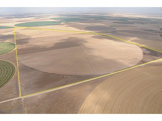 Property photo 2 - TEXAS LAND AUCTION, 1896+/- offered in 4 Tracts
