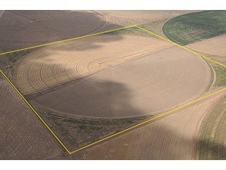 Property photo 1 - TEXAS LAND AUCTION, 1896+/- offered in 4 Tracts