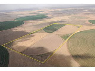 Property photo 3 - TEXAS LAND AUCTION, 1896+/- offered in 4 Tracts