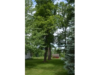 Tract 1 - REAL ESTATE AUCTION, HOME, RENTAL PROPERTY, 15+/- ACRES OFFERED IN 4 TRACTS OR COMBINATIONS