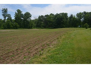 Property photo 1 - REAL ESTATE AUCTION, HOME, RENTAL PROPERTY, 15+/- ACRES OFFERED IN 4 TRACTS OR COMBINATIONS