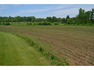 Property photo 3 - REAL ESTATE AUCTION, HOME, RENTAL PROPERTY, 15+/- ACRES OFFERED IN 4 TRACTS OR COMBINATIONS
