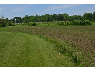 Property photo 5 - REAL ESTATE AUCTION, HOME, RENTAL PROPERTY, 15+/- ACRES OFFERED IN 4 TRACTS OR COMBINATIONS
