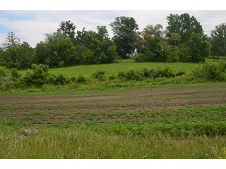 Property photo 40 - REAL ESTATE AUCTION, HOME, RENTAL PROPERTY, 15+/- ACRES OFFERED IN 4 TRACTS OR COMBINATIONS