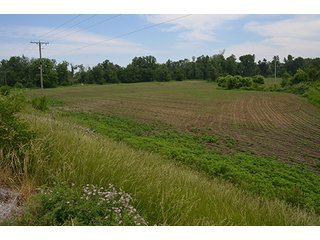 Property photo 41 - REAL ESTATE AUCTION, HOME, RENTAL PROPERTY, 15+/- ACRES OFFERED IN 4 TRACTS OR COMBINATIONS