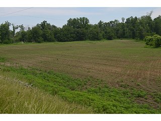 Property photo 38 - REAL ESTATE AUCTION, HOME, RENTAL PROPERTY, 15+/- ACRES OFFERED IN 4 TRACTS OR COMBINATIONS