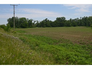 Property photo 39 - REAL ESTATE AUCTION, HOME, RENTAL PROPERTY, 15+/- ACRES OFFERED IN 4 TRACTS OR COMBINATIONS