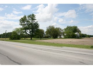 Property photo 12 - LAND AUCTION, 122+/- Acres Offered in 6 Tracts