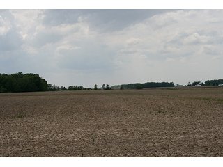 Property photo 4 - LAND AUCTION, 122+/- Acres Offered in 6 Tracts