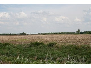 Property photo 5 - LAND AUCTION, 122+/- Acres Offered in 6 Tracts
