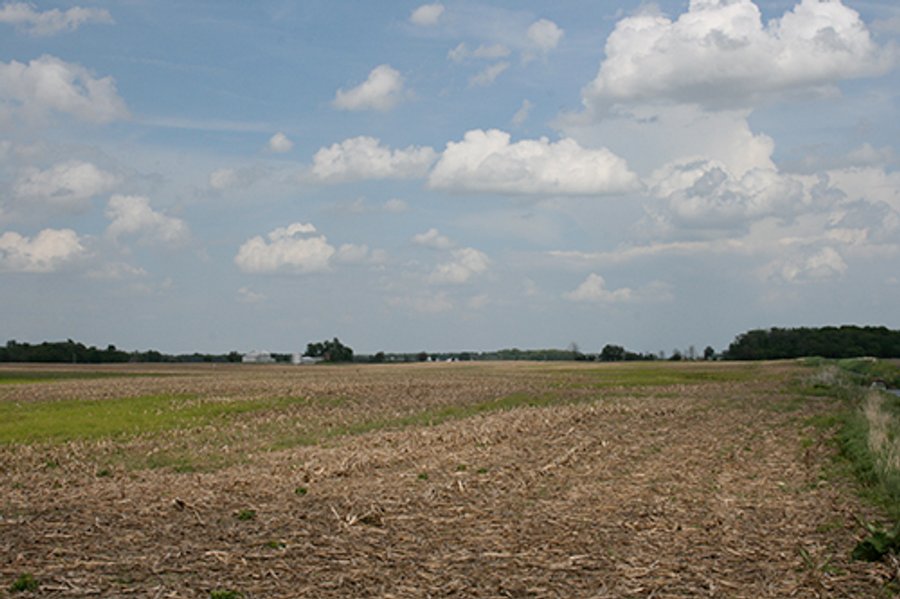 LAND AUCTION, 122+/- Acres Offered in 6 Tracts