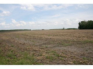 Property photo 3 - LAND AUCTION, 122+/- Acres Offered in 6 Tracts
