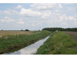 Property photo 11 - LAND AUCTION, 122+/- Acres Offered in 6 Tracts