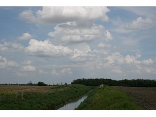 Property photo 8 - LAND AUCTION, 122+/- Acres Offered in 6 Tracts