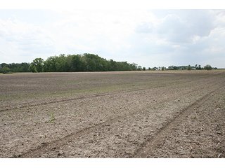 Property photo 1 - LAND AUCTION, 122+/- Acres Offered in 6 Tracts