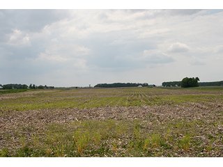 Property photo 6 - LAND AUCTION, 122+/- Acres Offered in 6 Tracts