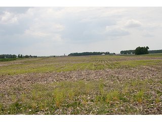 Property photo 7 - LAND AUCTION, 122+/- Acres Offered in 6 Tracts
