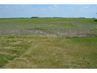 Property photo 10 - LAND AUCTION, 195 Acres Offered in 3 Tracts, Quality Tillable Land