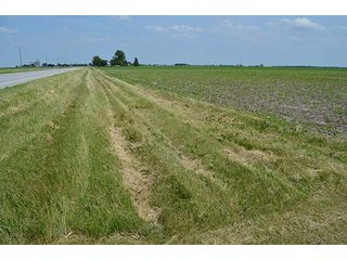 Property photo 35 - LAND AUCTION, 195 Acres Offered in 3 Tracts, Quality Tillable Land