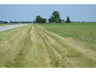 Property photo 29 - LAND AUCTION, 195 Acres Offered in 3 Tracts, Quality Tillable Land