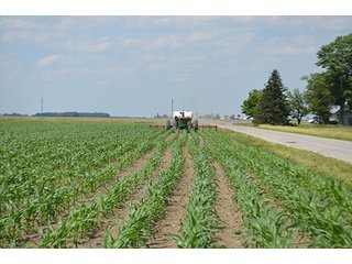 Property photo 11 - LAND AUCTION, 195 Acres Offered in 3 Tracts, Quality Tillable Land