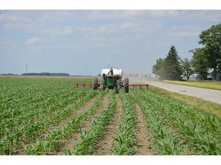 Property photo 22 - LAND AUCTION, 195 Acres Offered in 3 Tracts, Quality Tillable Land