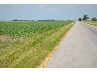 Property photo 32 - LAND AUCTION, 195 Acres Offered in 3 Tracts, Quality Tillable Land