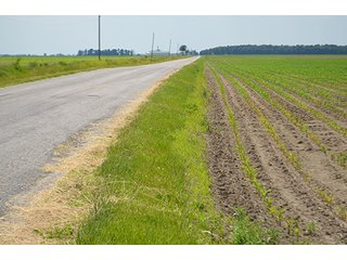 Property photo 33 - LAND AUCTION, 195 Acres Offered in 3 Tracts, Quality Tillable Land