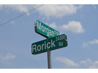 Property photo 46 - LAND AUCTION, 195 Acres Offered in 3 Tracts, Quality Tillable Land