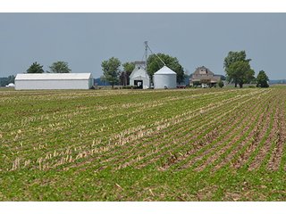 Property photo 26 - LAND AUCTION, 195 Acres Offered in 3 Tracts, Quality Tillable Land