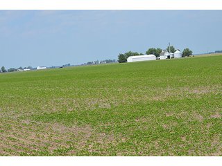 Property photo 13 - LAND AUCTION, 195 Acres Offered in 3 Tracts, Quality Tillable Land