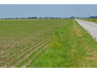 Property photo 7 - LAND AUCTION, 195 Acres Offered in 3 Tracts, Quality Tillable Land