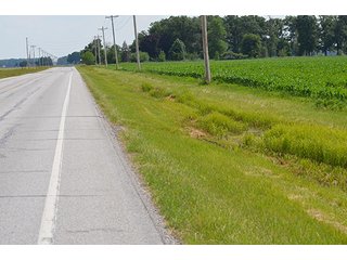 Property photo 34 - LAND AUCTION, 195 Acres Offered in 3 Tracts, Quality Tillable Land