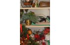 Property photo 261 - PERSONAL PROPERTY AUCTION