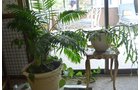 Property photo 178 - PERSONAL PROPERTY AUCTION