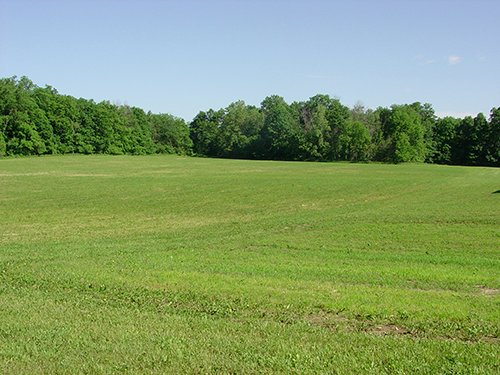 Property photo 1 - INDIANA LAND AUCTION, 37.2+/- Acres in 3 Tracts