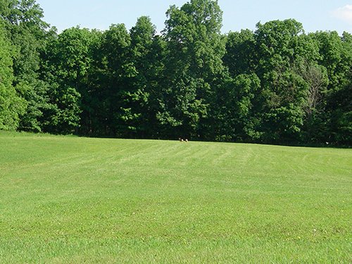 Property photo 5 - INDIANA LAND AUCTION, 37.2+/- Acres in 3 Tracts