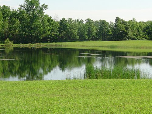 Property photo 3 - INDIANA LAND AUCTION, 37.2+/- Acres in 3 Tracts