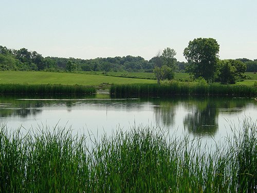 Property photo 8 - INDIANA LAND AUCTION, 37.2+/- Acres in 3 Tracts
