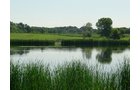 Property photo 8 - INDIANA LAND AUCTION, 37.2+/- Acres in 3 Tracts