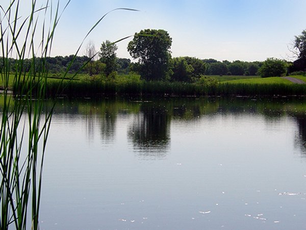 INDIANA LAND AUCTION, 37.2+/- Acres in 3 Tracts