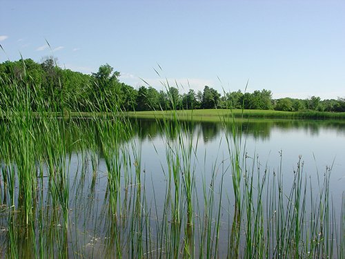 Property photo 7 - INDIANA LAND AUCTION, 37.2+/- Acres in 3 Tracts