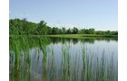 Property photo 7 - INDIANA LAND AUCTION, 37.2+/- Acres in 3 Tracts