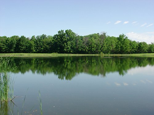Property photo 4 - INDIANA LAND AUCTION, 37.2+/- Acres in 3 Tracts