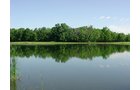 Property photo 4 - INDIANA LAND AUCTION, 37.2+/- Acres in 3 Tracts