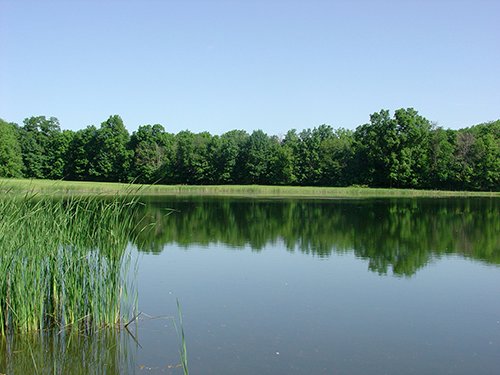 Property photo 6 - INDIANA LAND AUCTION, 37.2+/- Acres in 3 Tracts