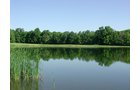 Property photo 6 - INDIANA LAND AUCTION, 37.2+/- Acres in 3 Tracts