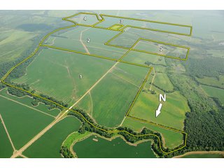 Property photo 7 - MID-DELTA REGION PRODUCTIVE CROPLAND AUCTION - 4,783+/- ACRES OFFERED IN 10 TRACTS