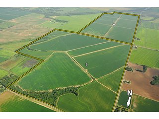 Property photo 13 - MID-DELTA REGION PRODUCTIVE CROPLAND AUCTION - 4,783+/- ACRES OFFERED IN 10 TRACTS