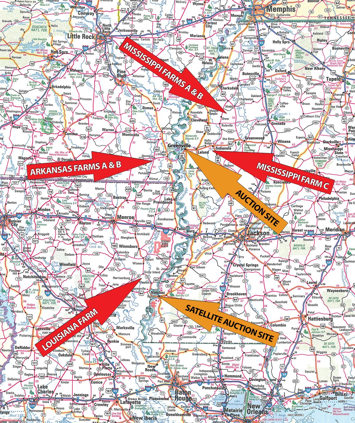 Area map - MID-DELTA REGION PRODUCTIVE CROPLAND AUCTION - 4,783+/- ACRES OFFERED IN 10 TRACTS